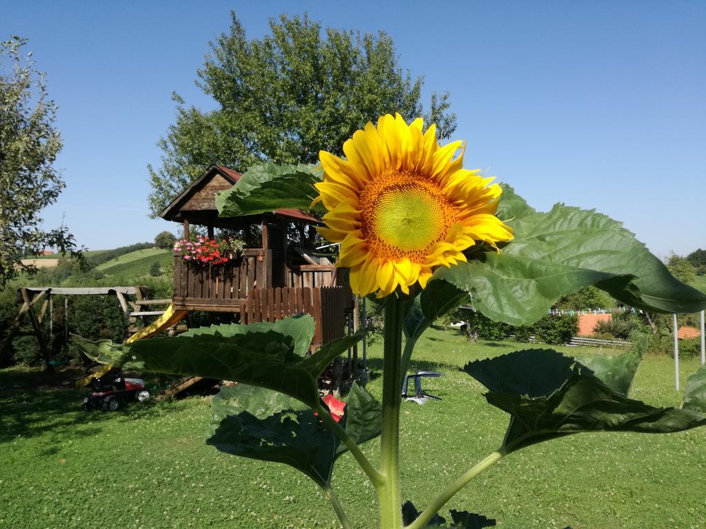 Gastehaus Dobida Hotel Unterlamm  Bagian luar foto