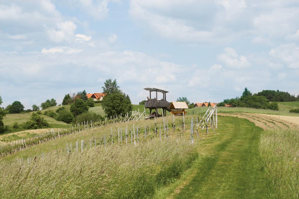 Gastehaus Dobida Hotel Unterlamm  Bagian luar foto